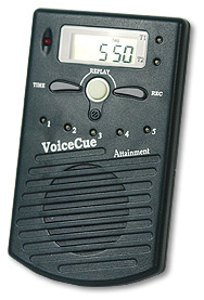 Thumbnail of Voice Cue.