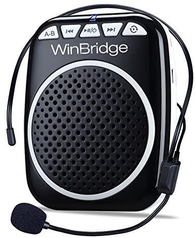 Thumbnail of WinBridge Voice Amplifier.