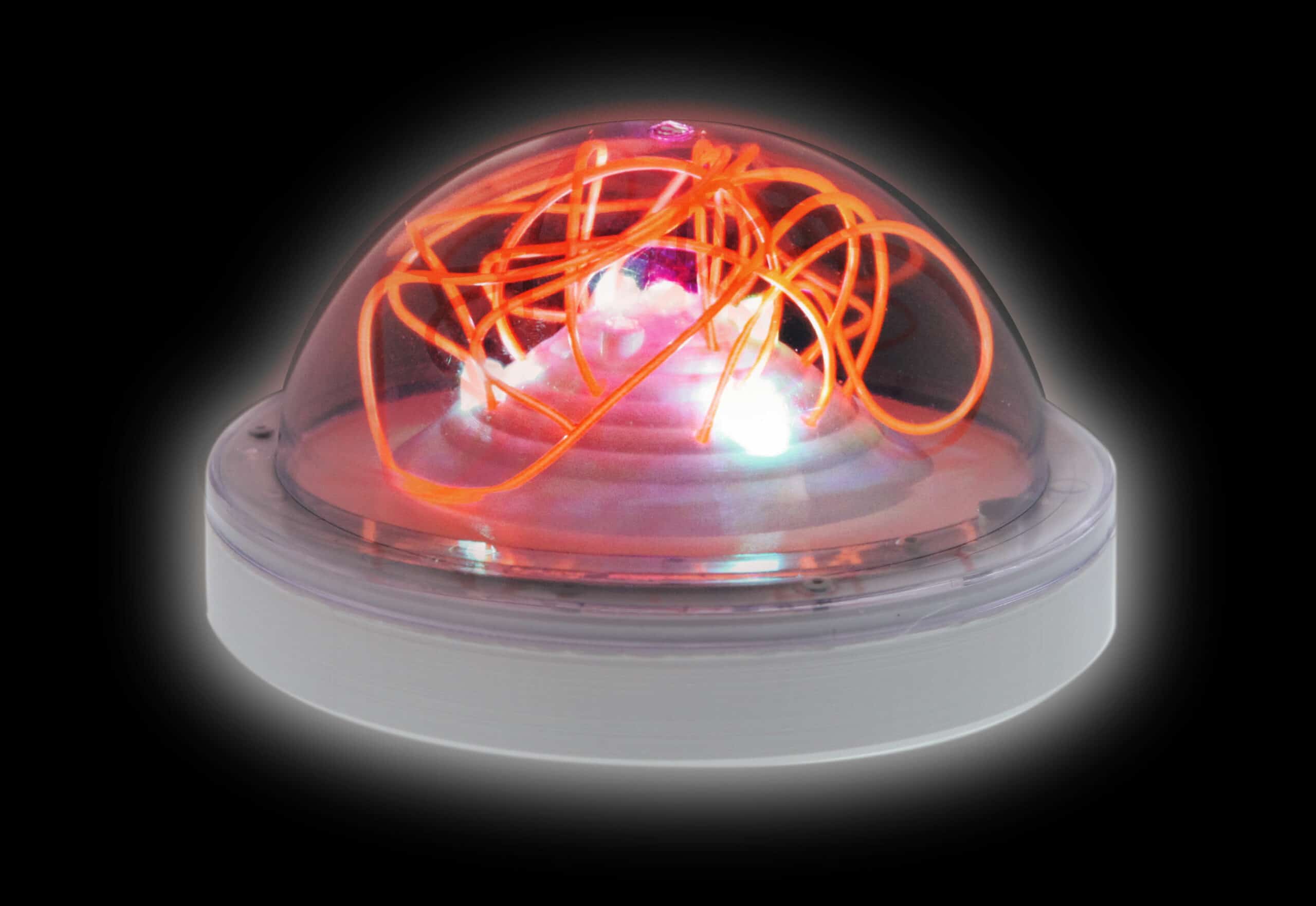 Thumbnail of Entangled Dome - Public School Use.