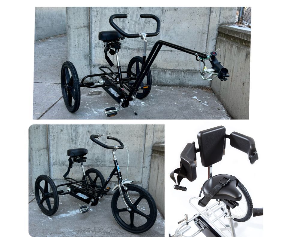 Thumbnail of Triaid 2-in-1 Hitch & Tricycle.