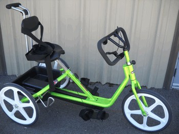 Large Adaptive Trike: Dillon