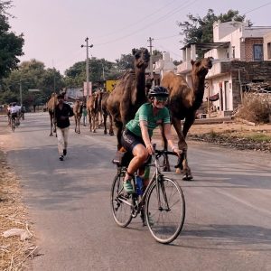 A young woman is laughing while riding her bicycle up a rural road. A hard of camels and their driver follows close behind.
